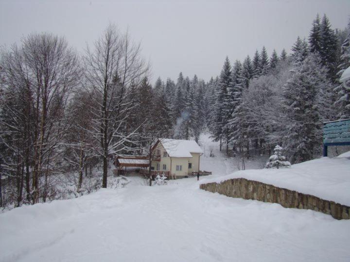 Soaptele Padurii & Casuta Din Padure Sucevita Exterior foto