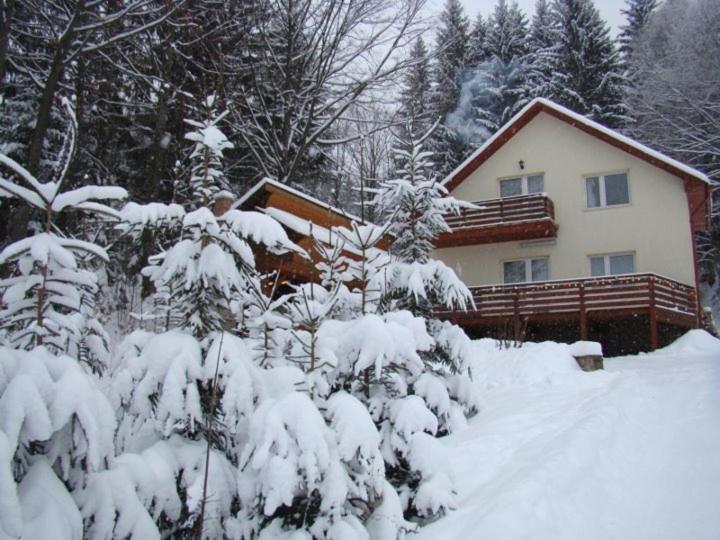 Soaptele Padurii & Casuta Din Padure Sucevita Exterior foto