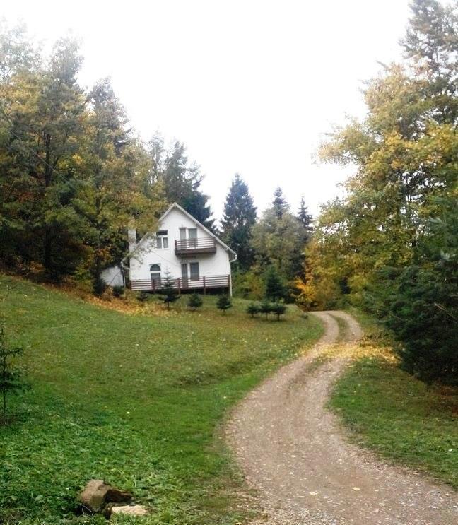 Soaptele Padurii & Casuta Din Padure Sucevita Exterior foto