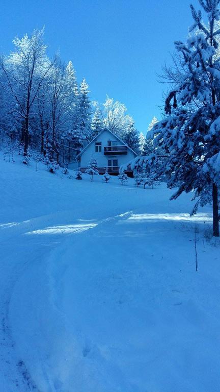 Soaptele Padurii & Casuta Din Padure Sucevita Exterior foto