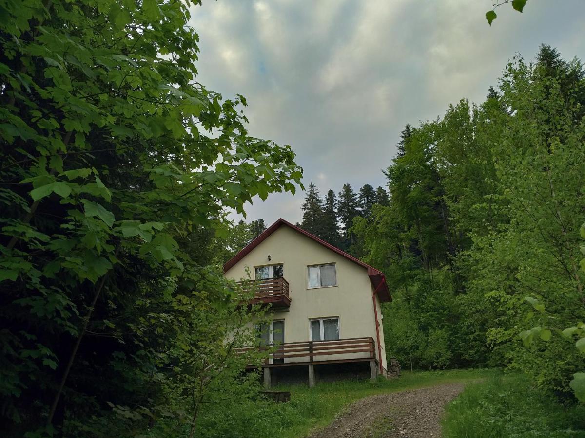 Soaptele Padurii & Casuta Din Padure Sucevita Exterior foto