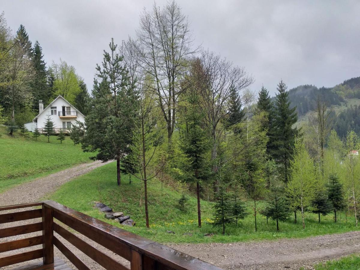 Soaptele Padurii & Casuta Din Padure Sucevita Exterior foto